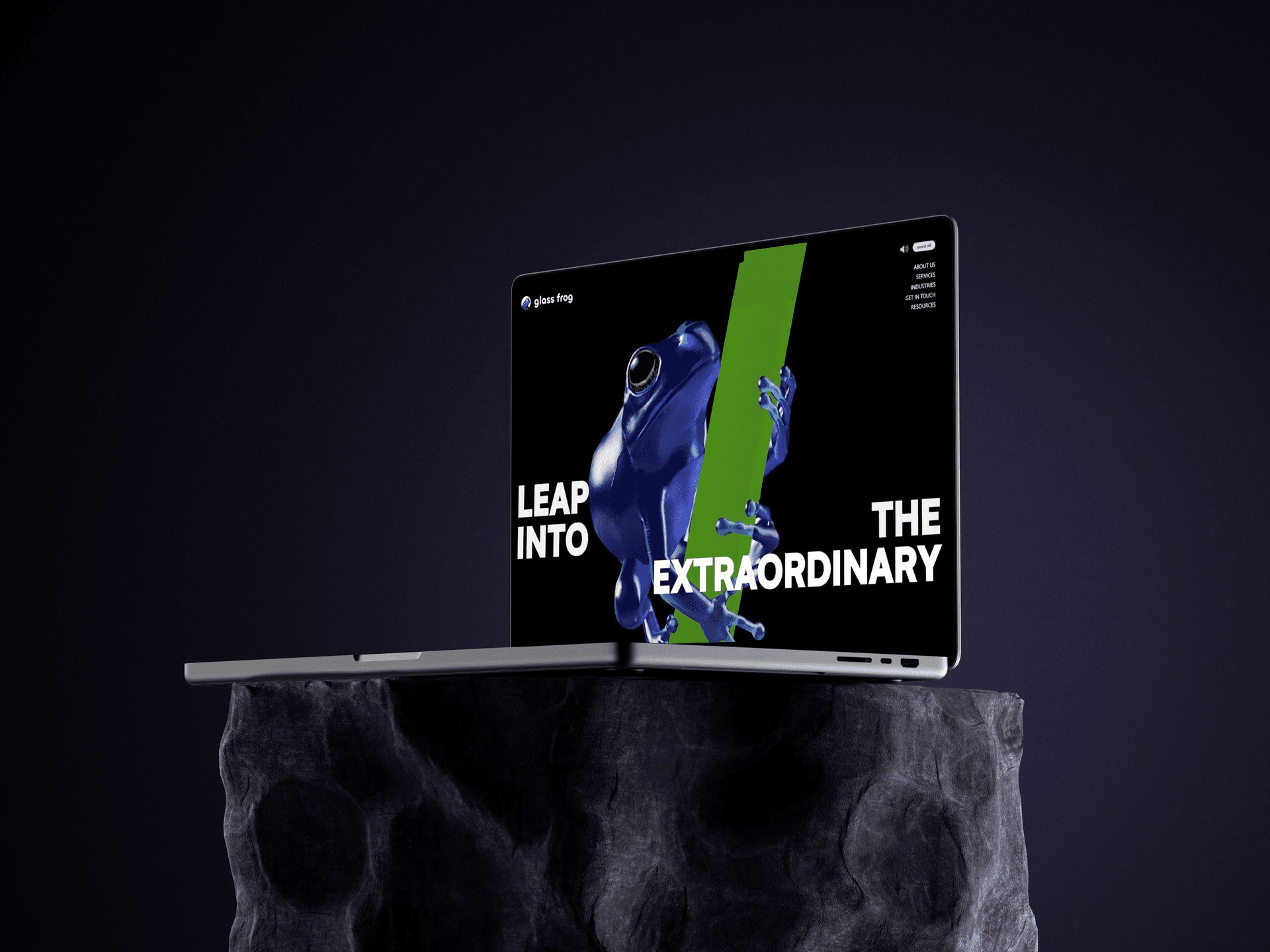 Cover image for Glass Frog
